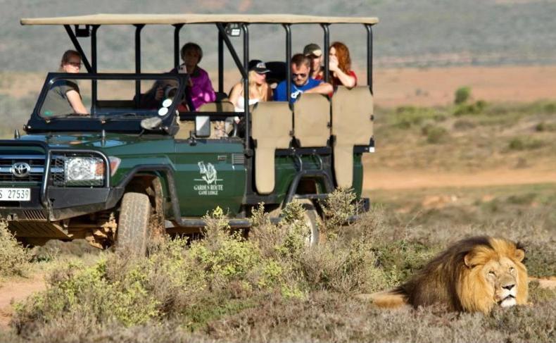 Garden Route Game Lodge Albertinia Εξωτερικό φωτογραφία