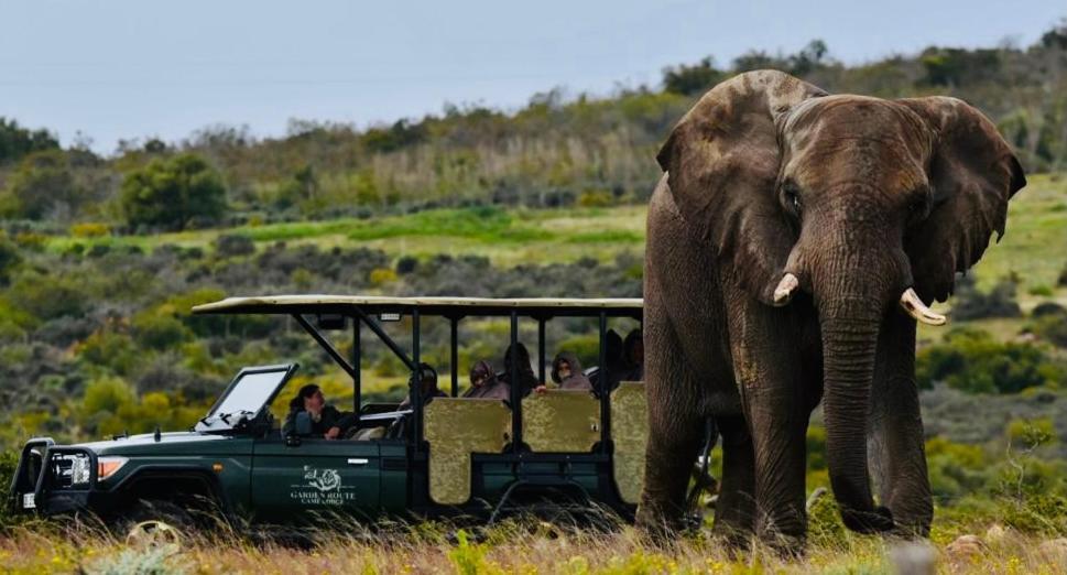 Garden Route Game Lodge Albertinia Εξωτερικό φωτογραφία