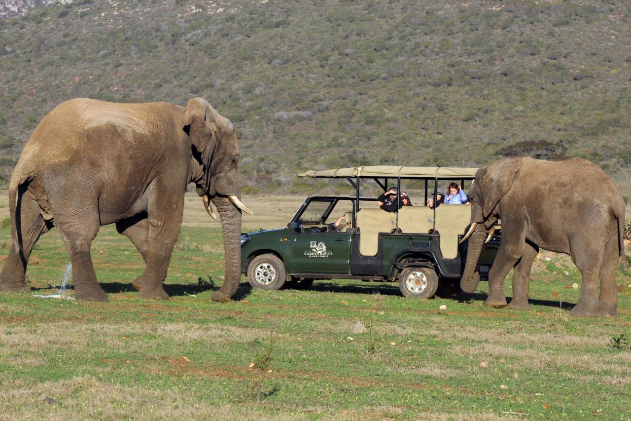 Garden Route Game Lodge Albertinia Εξωτερικό φωτογραφία