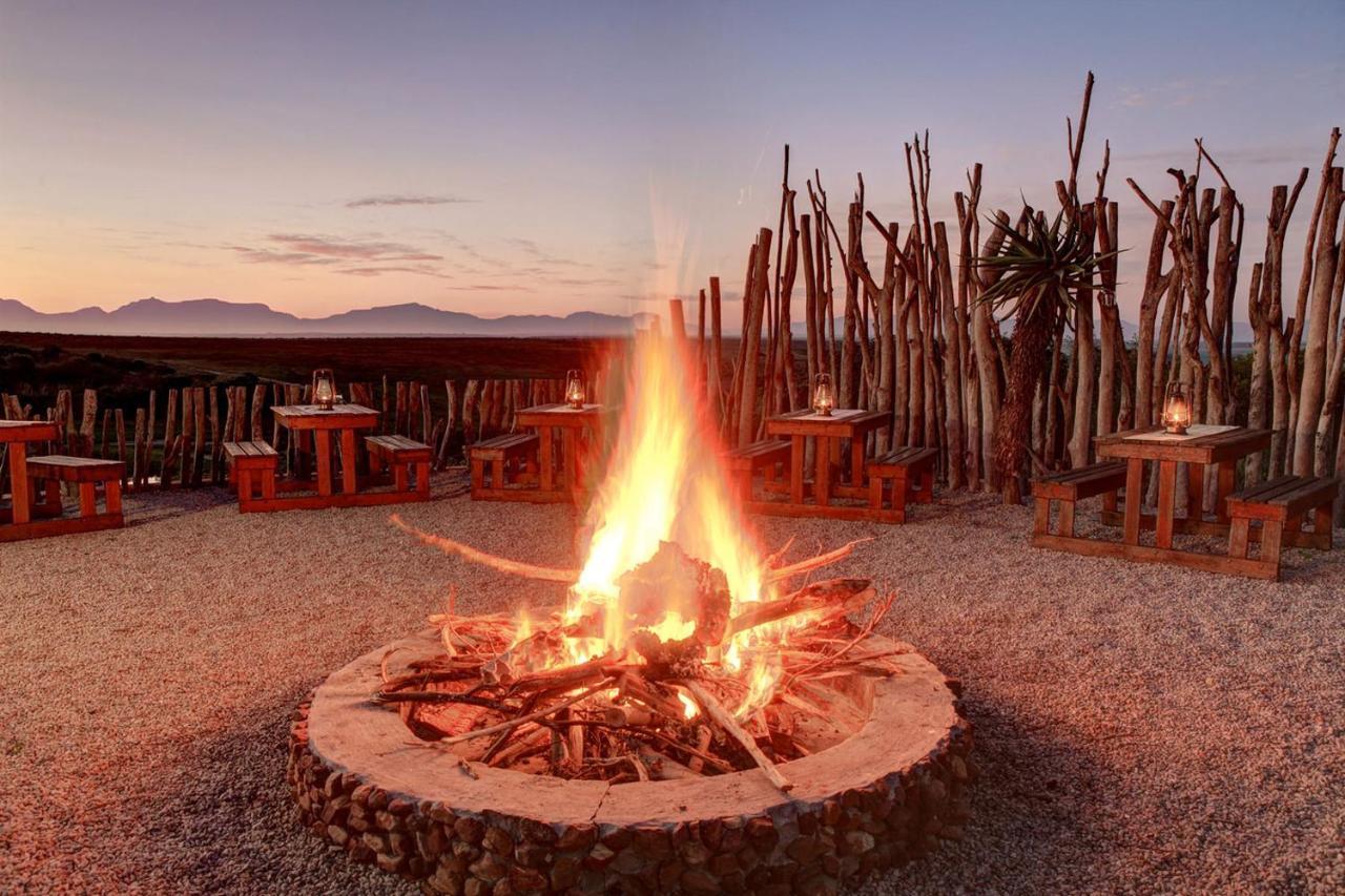 Garden Route Game Lodge Albertinia Εξωτερικό φωτογραφία