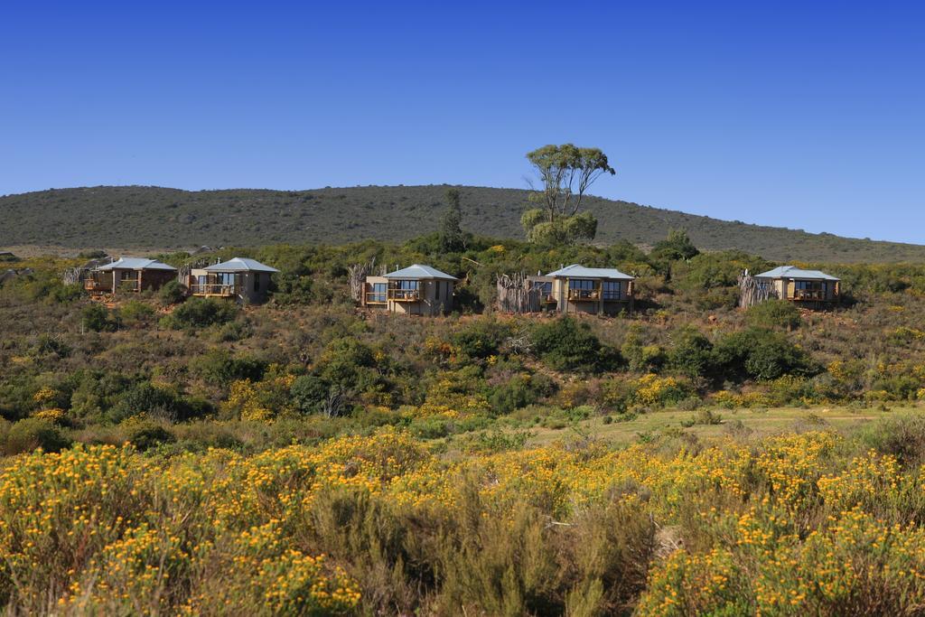 Garden Route Game Lodge Albertinia Εξωτερικό φωτογραφία