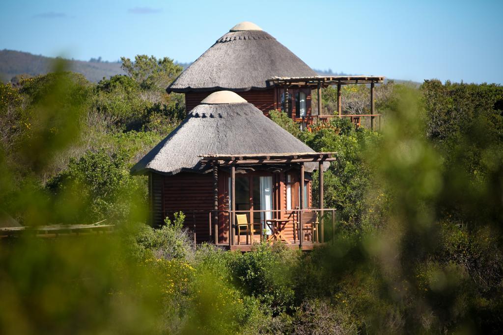 Garden Route Game Lodge Albertinia Εξωτερικό φωτογραφία