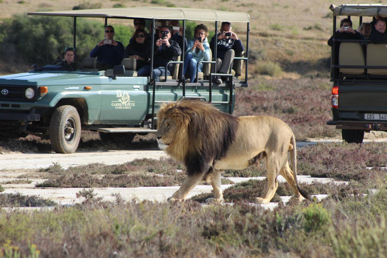 Garden Route Game Lodge Albertinia Εξωτερικό φωτογραφία